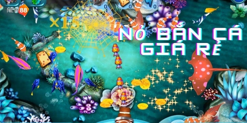 Tìm hiểu nỏ bắn cá giá rẻ trên thị trường