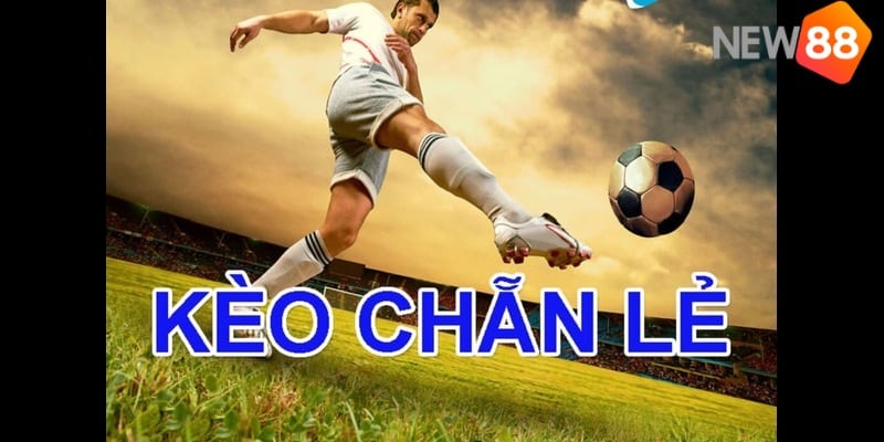 Áp dụng cách bắt kèo chẳn lẻ dựa trên kèo chấp