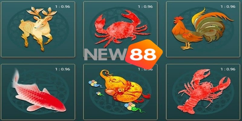 Khi hiểu luật bạn sẽ áp dụng được những bí quyết