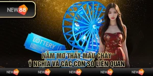 Nằm mơ thấy máu chảy: Ý nghĩa và các con số liên quan