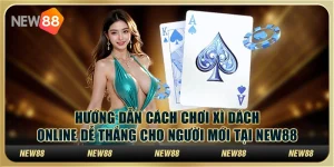 Hướng dẫn cách chơi xì dách online dễ thắng cho người mới tại New88