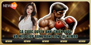 Cá cược quyền anh: Chiến lược và mẹo giúp bạn thắng lớn tại New88