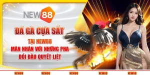 Đá gà cựa sắt tại New88 - Mãn nhãn với những pha đối đầu quyết liệt
