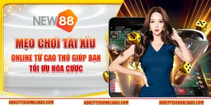 Mẹo chơi tài xỉu online từ cao thủ giúp bạn tối ưu hóa cược