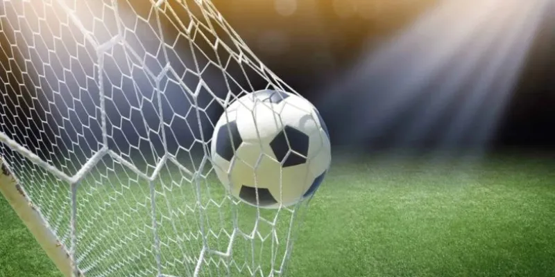 Kinh nghiệm từ cao thủ tại New88 trong việc bắt kèo rung