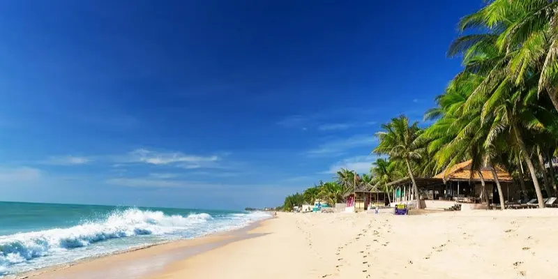 Nằm mơ thấy biển báo hiệu cuộc sống tươi mới, tràn đầy hy vọng