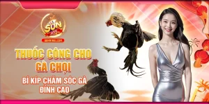 Thuốc Công Cho Gà Chọi: Bí Kíp Chăm Sóc Gà Đỉnh Cao
