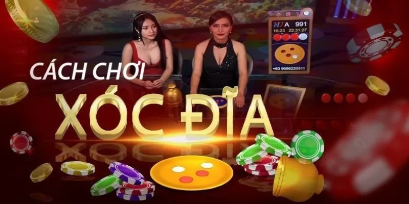 Tìm hiểu về xóc đĩa