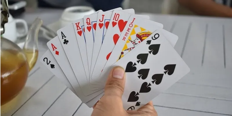 Tìm hiểu tổng quan về bài Catte