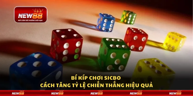 Bí kíp chơi Sicbo - Cách tăng tỷ lệ chiến thắng hiệu quả