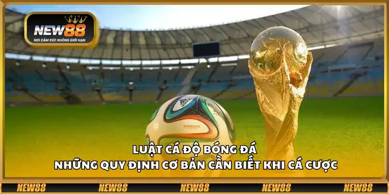 Luật cá độ bóng đá – Những quy định cơ bản cần biết khi cá cược