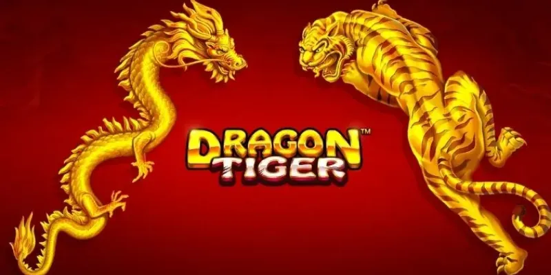 Các dạng cược phổ biến trong Dragon Tiger là những loại nào?